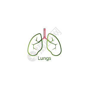 肺图标标识器官呼吸结核支气管肺炎感染生物学身体癌症图片