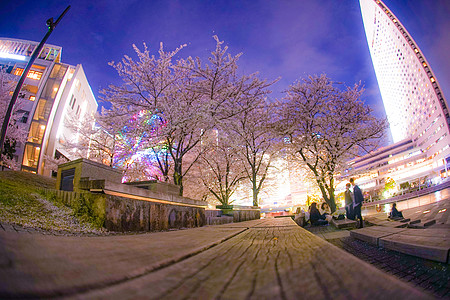 和的夜景景点城市夜空机构天空景观旅游建筑群樱花街景图片