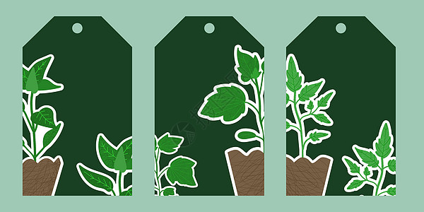 一套带有花园植物的礼品标签 胡椒 黄瓜 番茄 Biophilia 设计元素 抽象当代现代时尚自然矢量图图片
