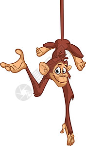 有趣的卡通猴子黑猩猩在向下挂起的矢量插图热带微笑猩猩贴纸丛林情感尾巴快乐绘画大猩猩图片