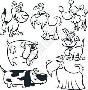 卡通狗概述 有趣的狗的矢量插图 猎犬 腊肠犬 梗犬 贵宾犬 西班牙猎犬 斗牛犬 巴吉度猎犬 填色本图片