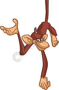 有趣的卡通猴子黑猩猩在向下挂起的矢量插图绘画贴纸猩猩漫画快乐艺术尾巴卡片大猩猩海报图片