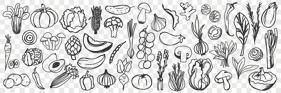 手工绘制的涂鸦套件元素草图铅笔插图土豆绘画草本植物豆子蔬菜洋葱图片