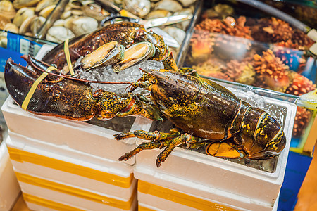南韩首尔Noryangjin渔业批发市场生海鲜寿司文化旅行食物乌贼展示盘子海洋美食市场图片