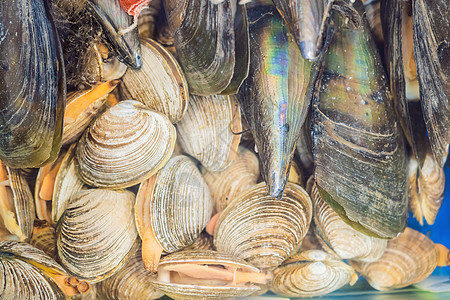 南韩首尔Noryangjin渔业批发市场生海鲜饮食地标乌贼市场烹饪街道销售炙烤美味美食图片