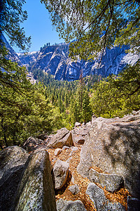 Yosemite山的美丽景色 从巨石和松树的覆盖图片