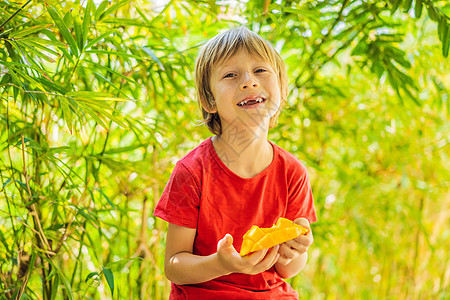 小可爱男孩在阳台上吃芒果喜悦微笑热带快乐乐趣食物水果公园男性婴儿图片