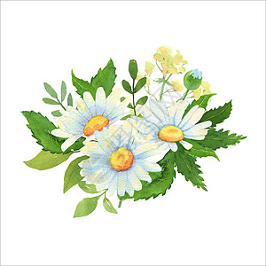 鲜花和绿叶作为婚礼问候和白背景隔绝卡片的插文说明 请用彩礼和绿色树叶作介绍图片