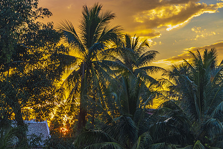 湄公河和地区风景全景的日落村庄地方爬坡山脉天空日出场景旅行棕榈蓝色图片