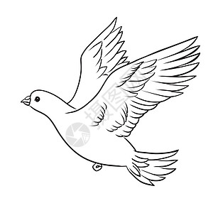 在嘴上流着橄榄枝的和平鸽子 飞翔 手伸出来世界会议多样性动物叶子卡片男人乐趣自由信仰图片