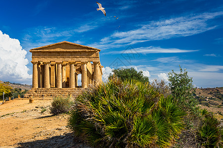 圣殿谷 康科迪亚寺庙 这是在公元前五世纪建造的古希腊神庙 Agrigento 西西里山谷纪念碑考古学柱子文明废墟宗教旅游古董建筑图片