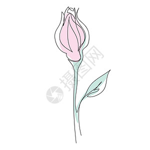 一个连续线的矢量红玫瑰绘图 以线条艺术风格显示花朵的颜色说明草图插图绘画植物礼物一条线植物群生日标识婚礼图片