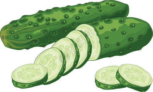 绿色黄瓜 成熟的切片绿色黄瓜的图像 绿色素食产品 在白色背景上孤立的矢量图农业水果剪贴插图蔬菜食物厨房沙拉植物营养图片