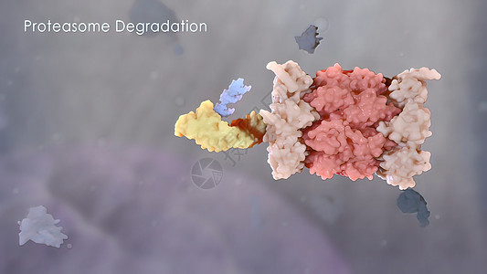 3D 对微粒蛋白进行科学活动破坏倍率癌细胞细胞质计算机微生物机制葡萄糖医学免疫医疗图片