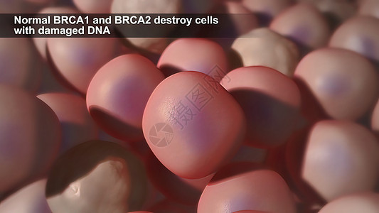 DNA损坏造成的畸变导致肿瘤和癌症形成并导致健康细胞死亡 这些疾病包括基因组机器人细菌生物学基因生物药品纳米手术微生物学图片