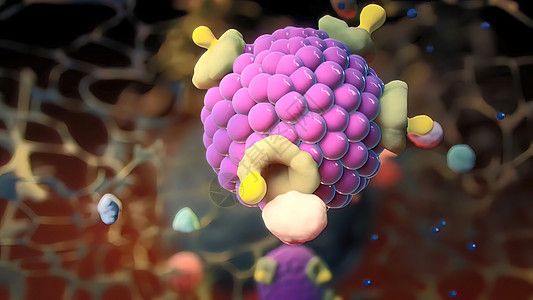 入室牢房的Ion 频道细胞医疗液体细胞质微生物学科学插图渠道宏观生活图片