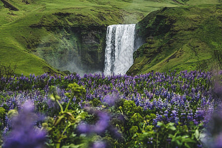 冰岛夏季的Skogafos瀑布图片