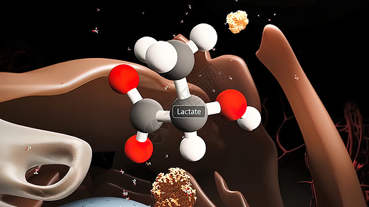 生物糖胶乳糖 碳水合物 含有一个葡萄糖分子和一个连接在一起的银极糖分子制药生物双糖卫生酵素生物学代谢技术药理哺乳期背景