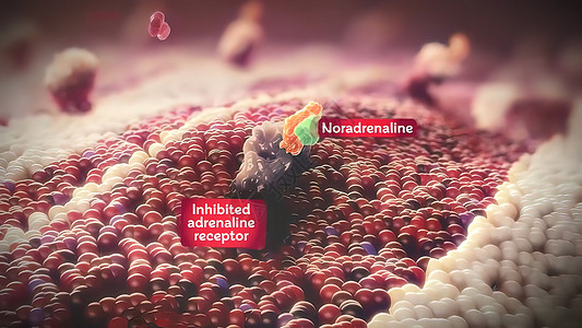 抑制性肾上腺素受体 抗耐性受体抑制剂科学化学抗体作品压力医学癌细胞药理文件图片