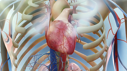 心力衰竭意味着心脏无法正常地将血液泵送到全身各处心律男性粒子解剖学韵律心血管压力心律失常攻击心绞痛图片