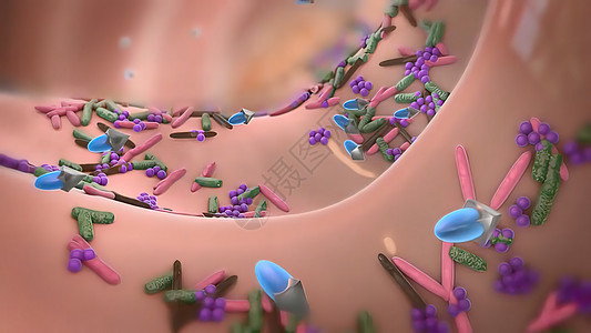 大型生物在免疫系统中的重要性 包括免疫受精卵结构吞噬细胞免疫证书流感疾病癌症绘图宏观图片