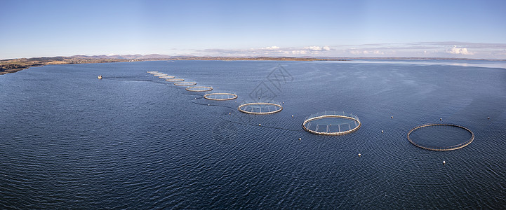 爱尔兰Donegal县养鱼场空中观察水产渔业海岸农场生长植物网格海鲜生产养殖图片