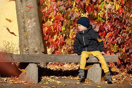 一个可爱的男孩 躺在老城广场的长凳上 在多姿多彩的秋叶背景下 横向照片 (笑声)图片