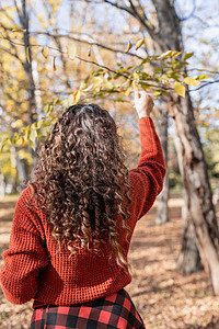 年轻快乐的少女在秋林中行走森林公园女孩头发女士毛衣成人乐趣幸福微笑图片