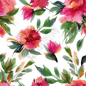 粉红小豆色植物水彩色无缝图案印花墙纸艺术纺织品花园牡丹植物学插图粉色印花布图片