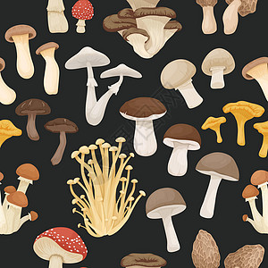 矢量无缝模式与可食用 有毒的不可食用蘑菇 手绘卡通蘑菇 在黑色的不同的蘑菇 飞木耳 香菇 死亡帽 香菇 金针菇 小号王图片
