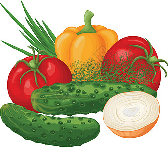 蔬菜 带有成熟蔬菜的图像 例如黄瓜 西红柿 甜椒 洋葱和莳萝 来自花园的有机产品 维生素产品 矢量图图片