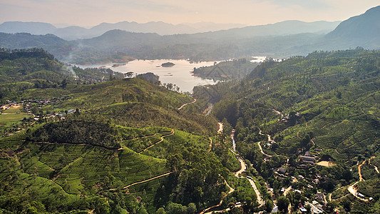 从亚当峰到达尔豪西村 茶叶种植园 湖泊的景象 11月1日至12月31日摄影天线农村叶子农田田园风光茶树爬坡鸟瞰图图片