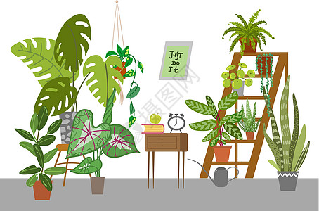 家庭种植矢量插图 城市丛林 植物是朋友植物群湿气园艺树叶播种机房间叶子热带温室竹芋图片