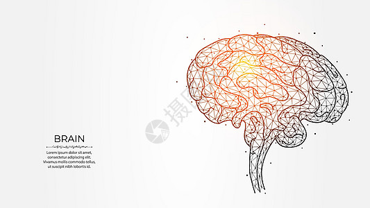 人类大脑的光背景 集思广益概念 神经学创作横幅 模板或背景等抽象多边形矢量图解说明图片