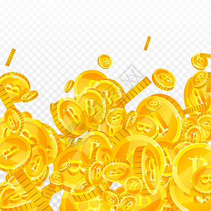 比特币 互联网货币硬币下跌 著名的分散 BTC 硬币 加密货币 数字货币 正宗的头奖 财富或成功的概念 矢量图图片