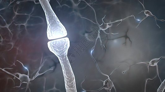 中心和突触智力神经元功能科学药品解剖学生物学树突脉冲神经图片