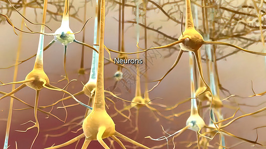 中枢和突触是医学插图冲动电气解剖学神经风暴生物学信号智力脉冲生物图片