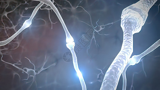 老年健身中枢和突触是医学插图树突枝晶药品网络生物科学神经解剖学智力化学品背景