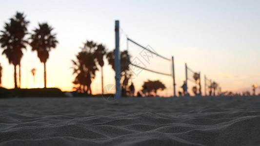 圣莫妮卡在海滩法庭玩排球的玩家 用球和网打排球游戏壁纸支撑海岸日落场地海洋娱乐电影背景截击背景