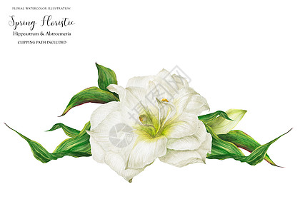 与白色的花朵一起结婚婚礼胸花花环花瓣花束百合插图热带新娘投标图片