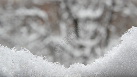冬天落下的白雪片 圣诞雪花的秋天雪花薄片公园树木电影动态雪堆银行降雪森林摄影图片