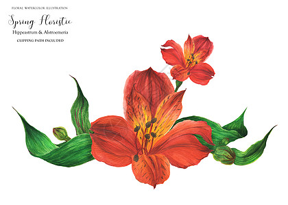 带红色秘鲁百合花的加兰花束花新娘百合花瓣婚礼花环插图热带草地植物花园图片