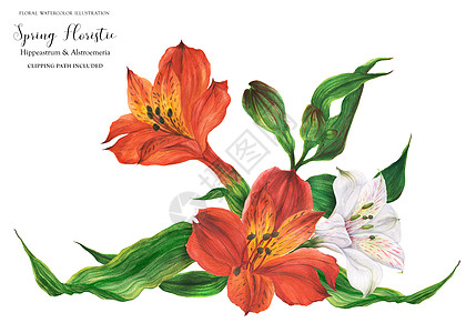 加兰葡萄花加红白菲律宾百合丽花投标插图花束花瓣热带花环百合花园新娘植物图片