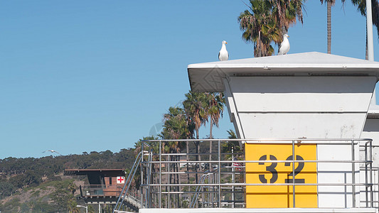 救生站或救生塔棚 美国加利福尼亚海滩的冲浪安全岗楼救生员海鸥支撑救援飞行天空小屋假期房子图片