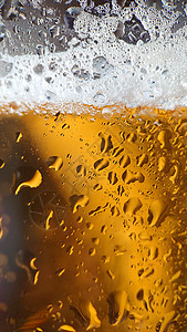 金色啤酒 玻璃里装有泡沫和泡沫的金色啤酒图片