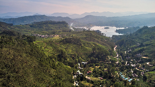 从亚当峰到达尔豪西村 茶叶种植园 湖泊的景象 11月1日至12月31日田园风光旅行叶子农场天线鸟瞰图高地茶花农业图片