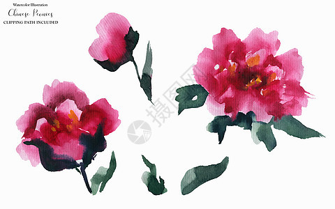 中国小马花艺术粉色香气植物群纺织品水彩红色花束紫色图片