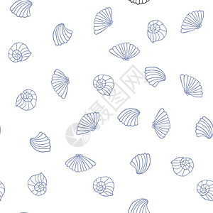 白色背景壳壳壳无缝定型 海洋模版图片