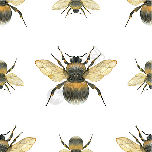 大黄蜂无缝模式图片