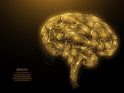 黑暗背景下的多边形人脑矢量图解 人工智能的概念 大脑低聚设计 神经病学横幅或模板图片